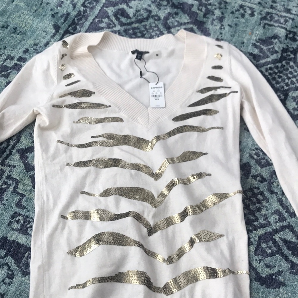 Express Sweater with fun design
